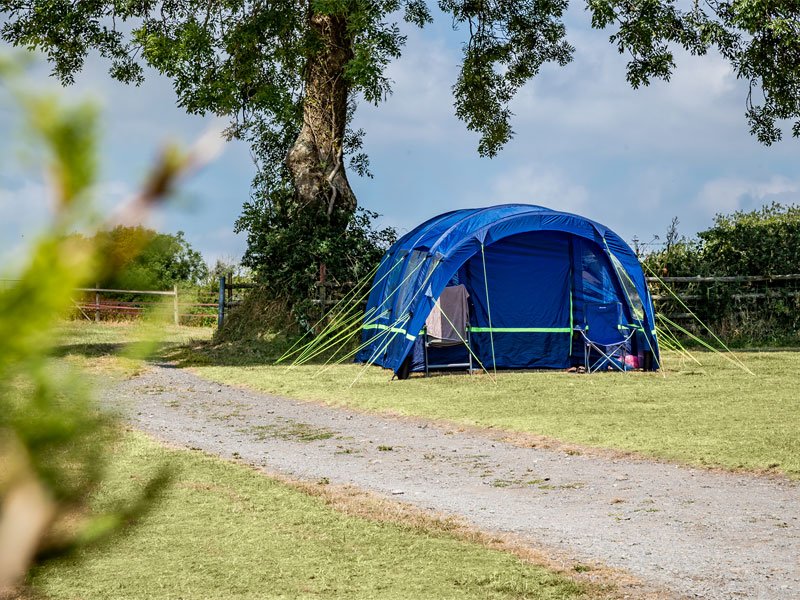 Camping at Meadow Farm Tenby